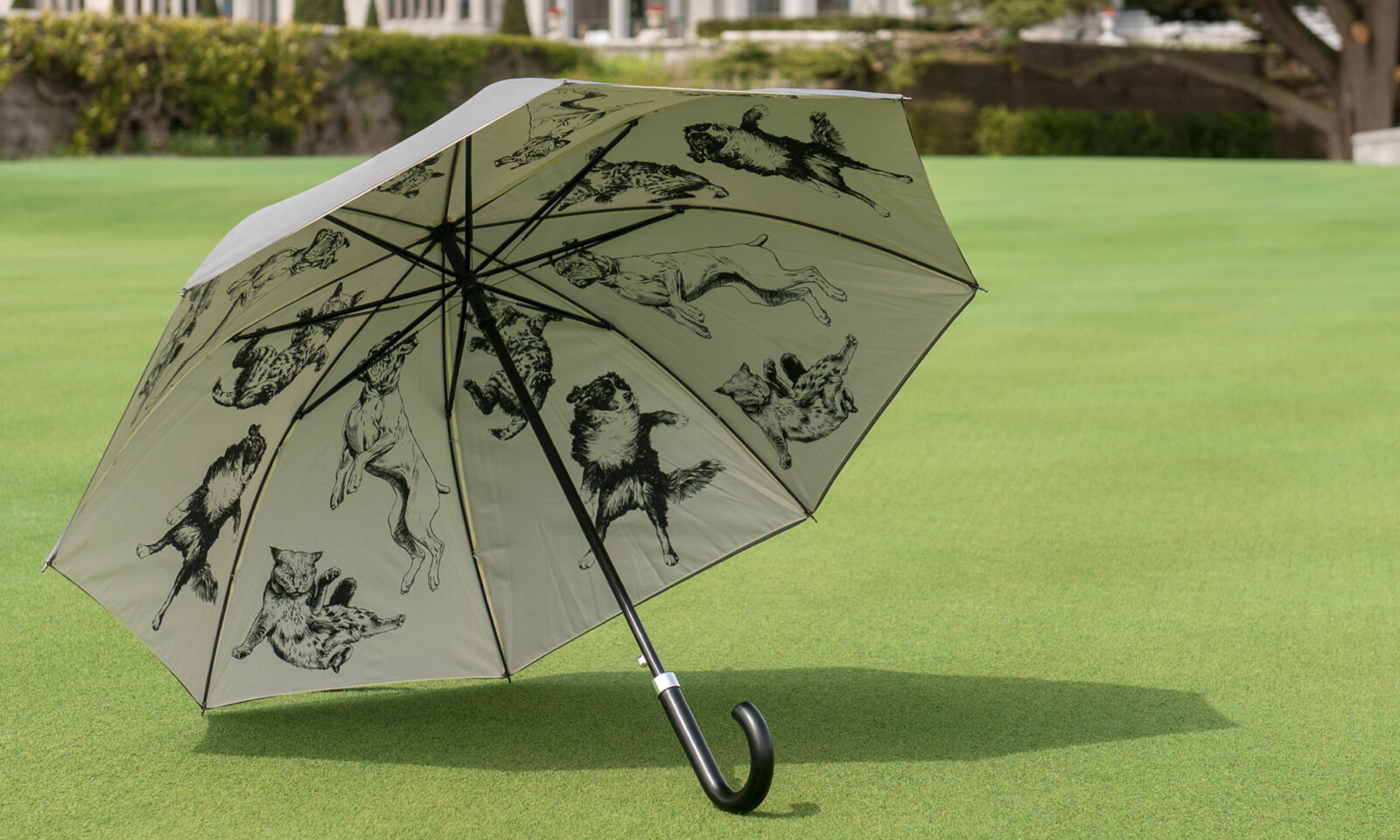 Adare Manor inside of an umbrella, Neworld for brand strategy, design, packaging, and digital needs