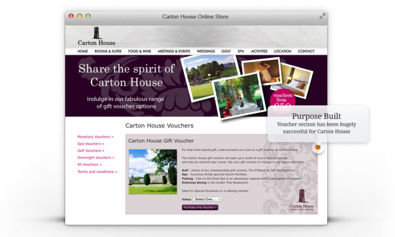 Carton House Web Design, Neworld for brand strategy, design, packaging, and digital needs