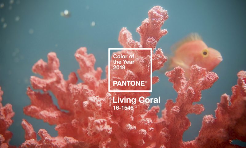 living coral Pantone colour of the year 2019