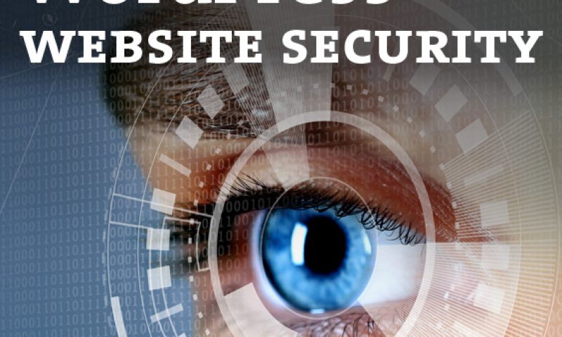WordPress website security