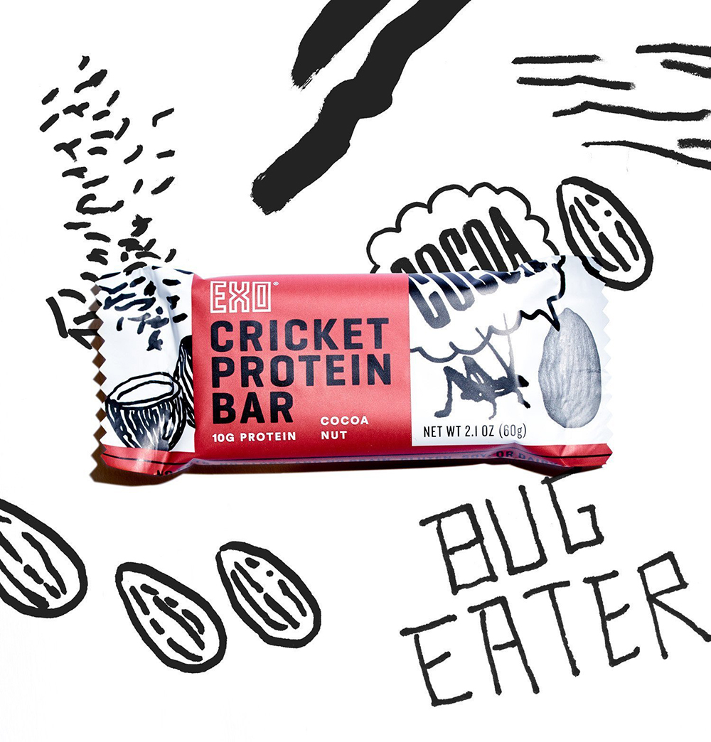 Eco Cricket Protein Bar