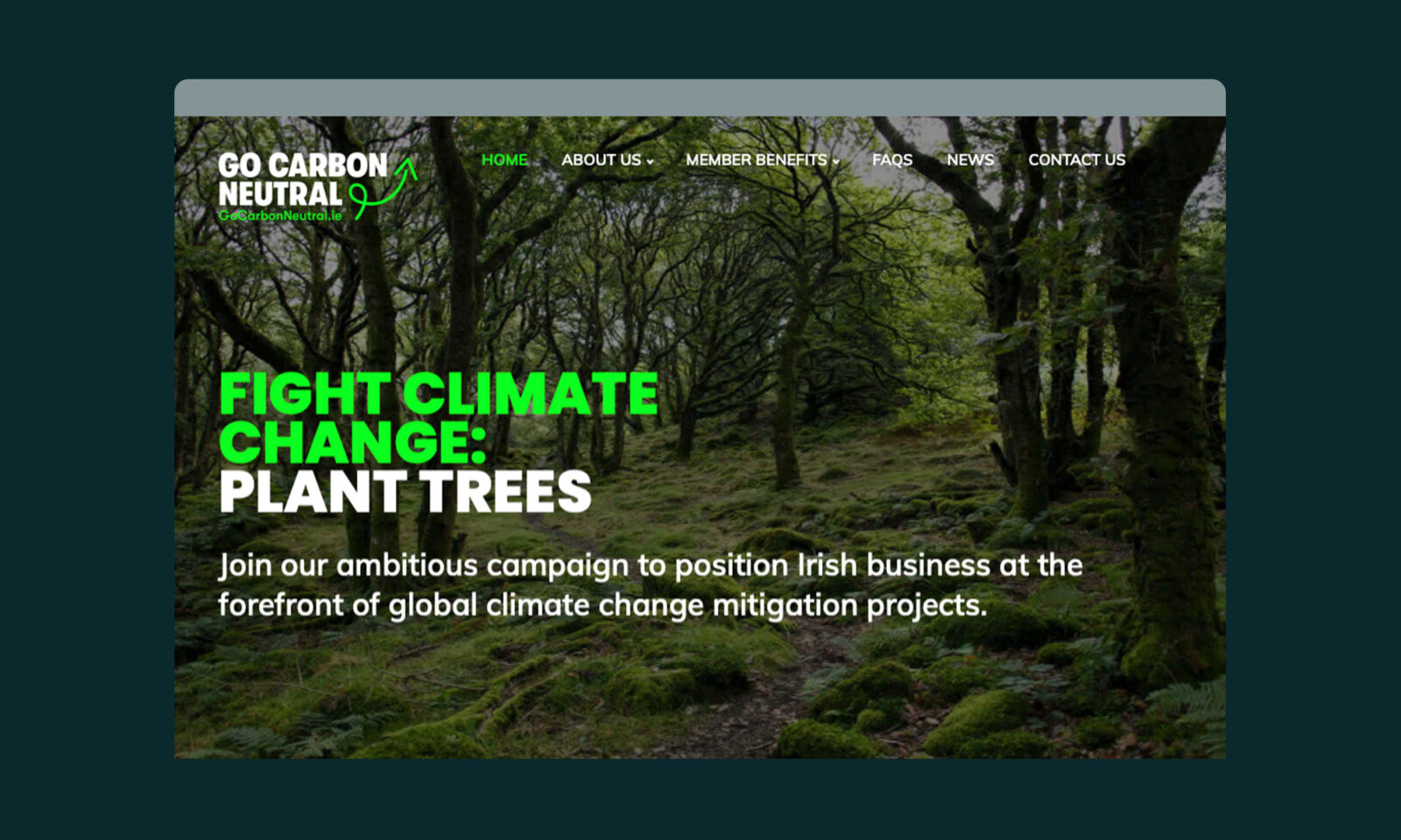 Go Carbon Neutral web page, Neworld for brand strategy, design, packaging, and digital needs