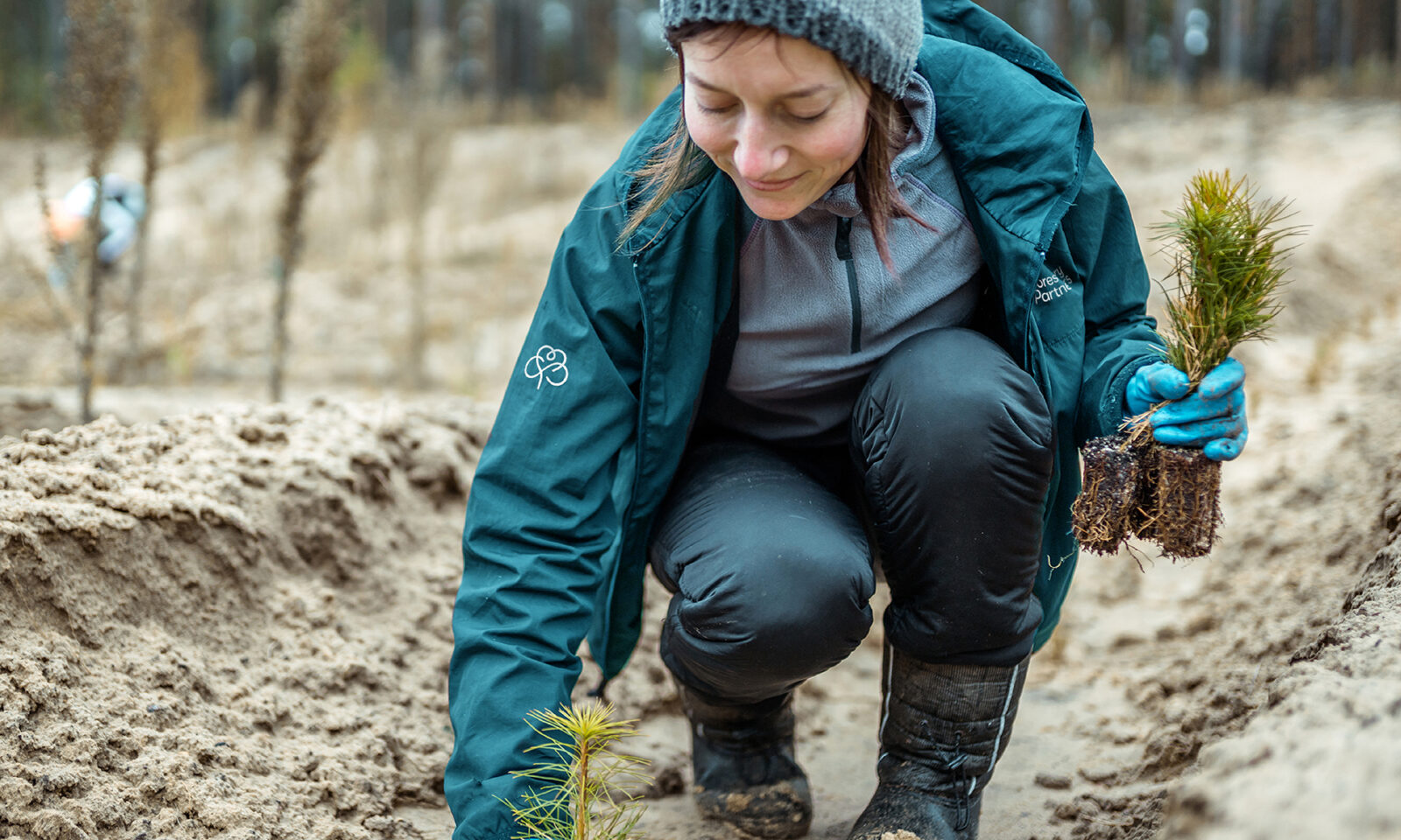 Go Carbon Neutral web page, Neworld for brand strategy, design, packaging, and digital needs