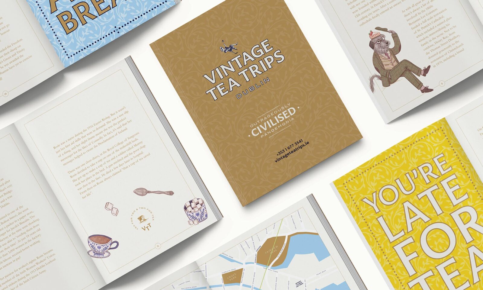 Vintage Tea Trips design, Neworld for brand strategy, design, packaging, and digital needs