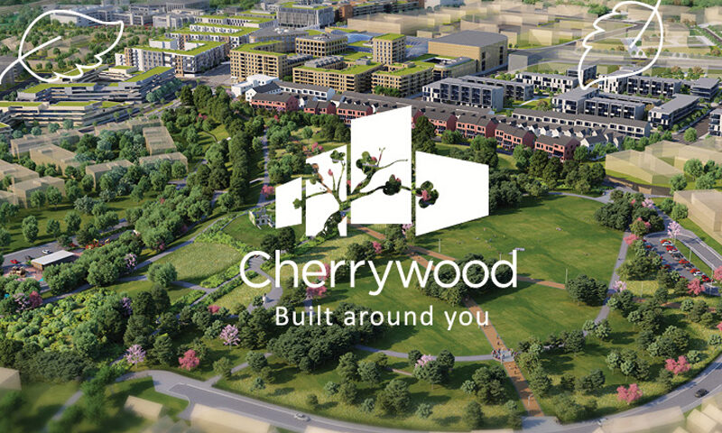 Cherrywood Archive, Neworld for brand strategy, design, packaging, and digital needs