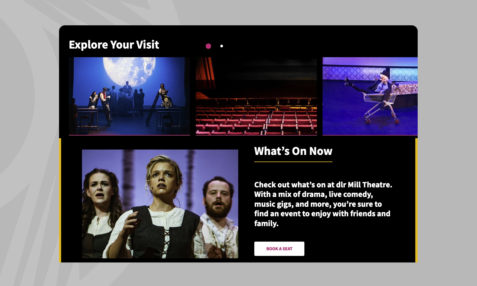 Neworld Agency Web Case Study - DLR Mill Theatre