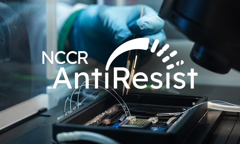 Neworld web development case study - NCCR AntiResist website