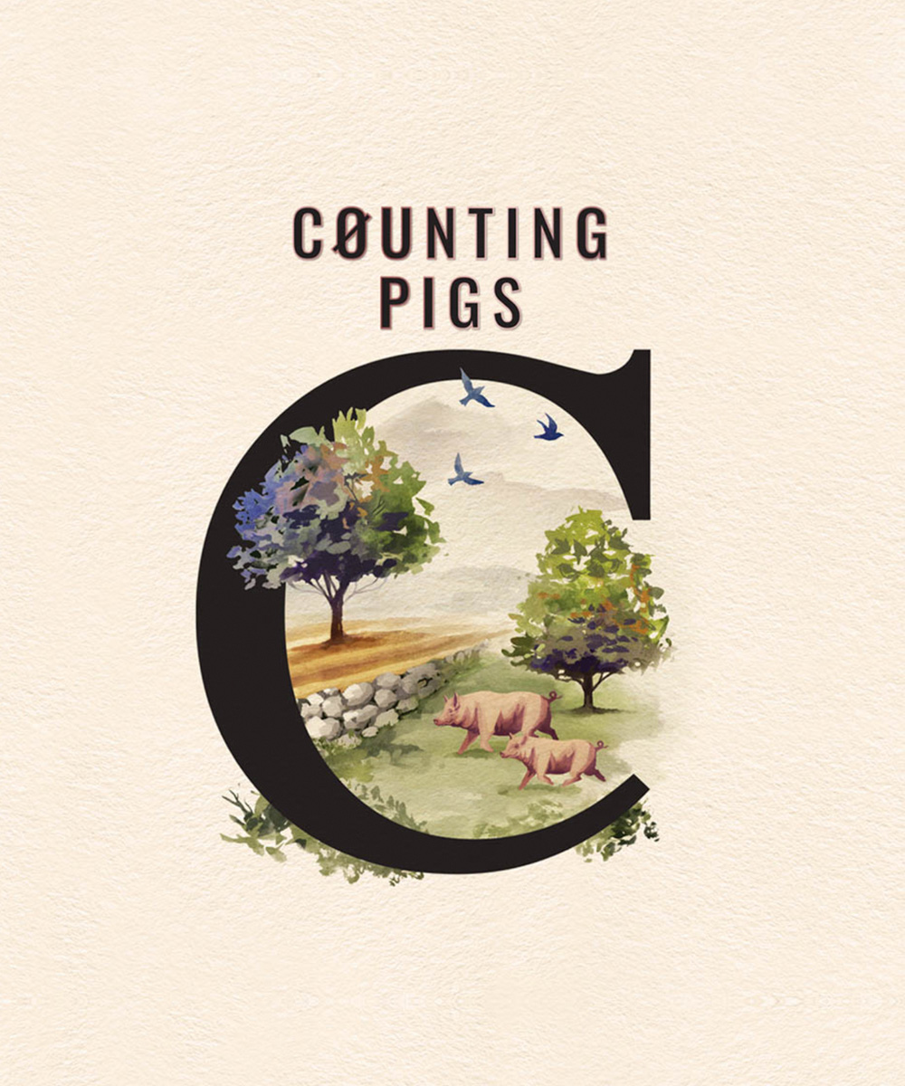 Neworld Packaging Counting Pigs