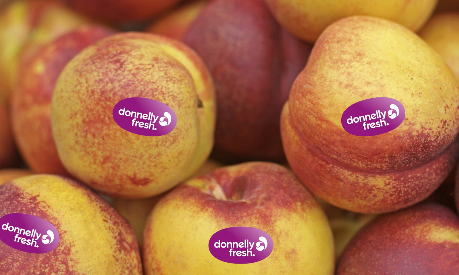 Donnelly Fresh