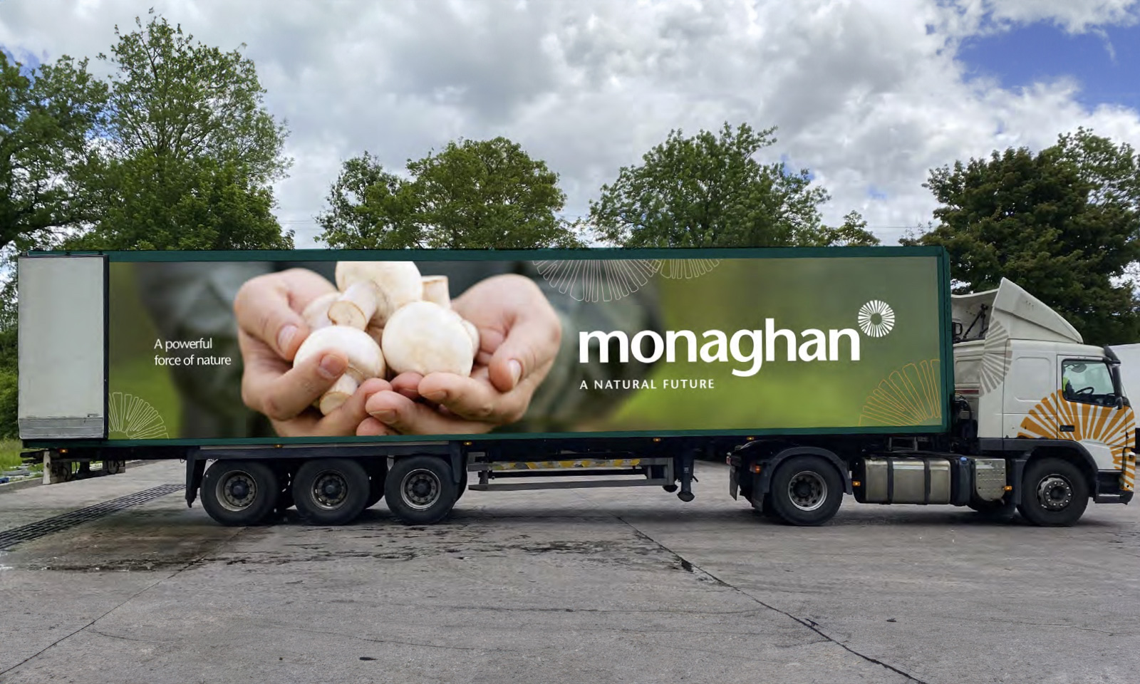 Neworld Packaging and Digital Monaghan