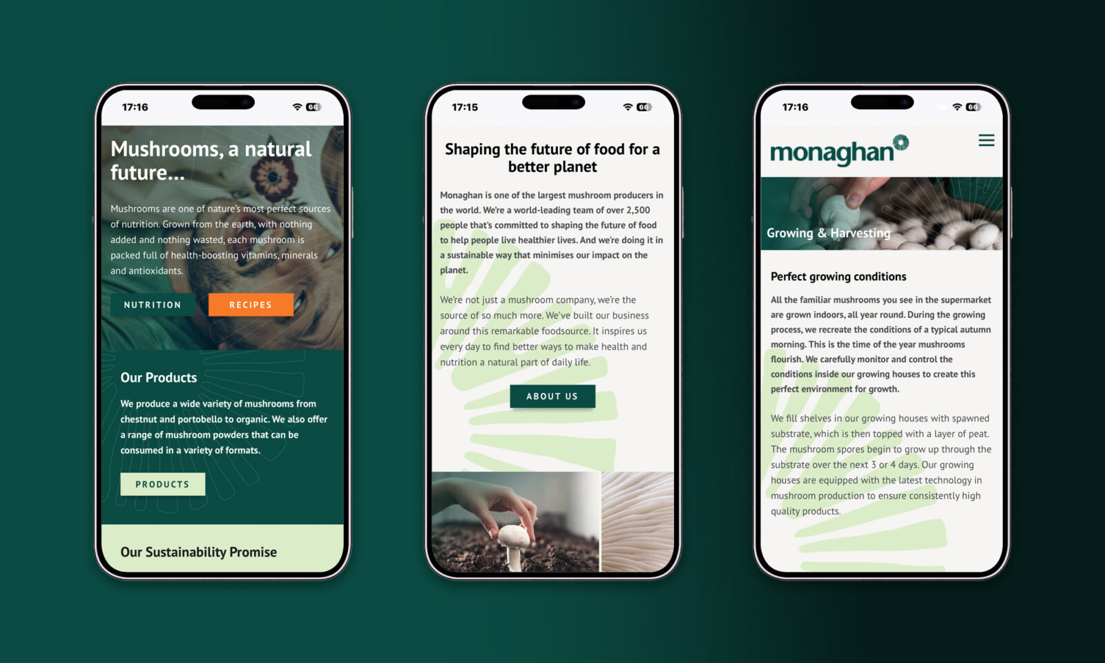 Neworld Packaging and Digital Monaghan
