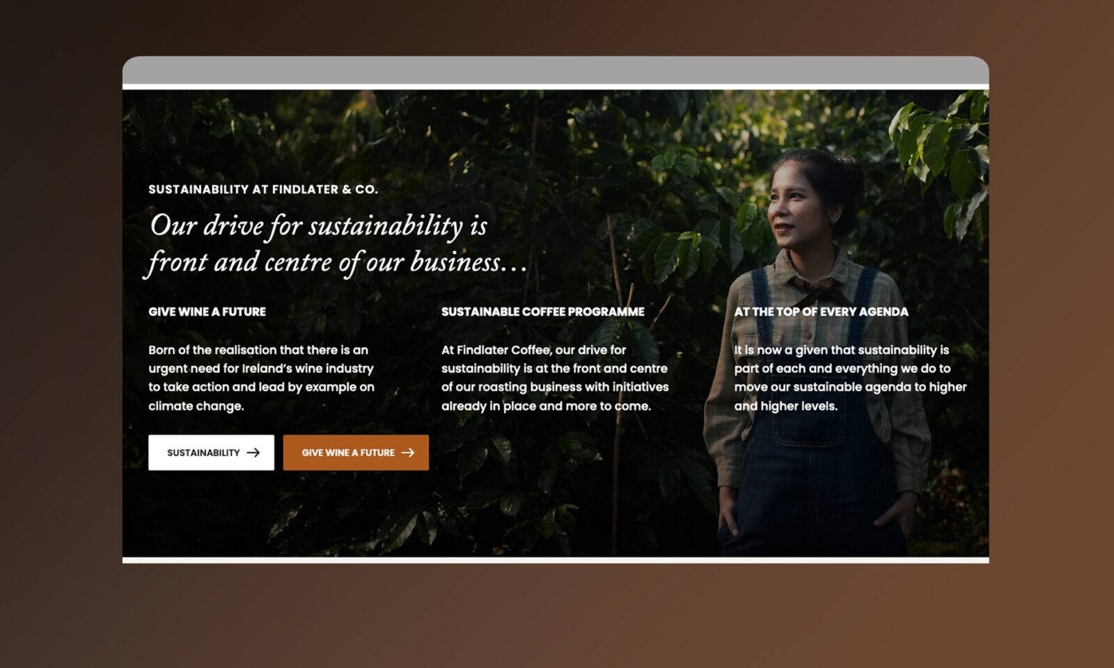 Neworld Agency Web Case Study - Findlater & Co.