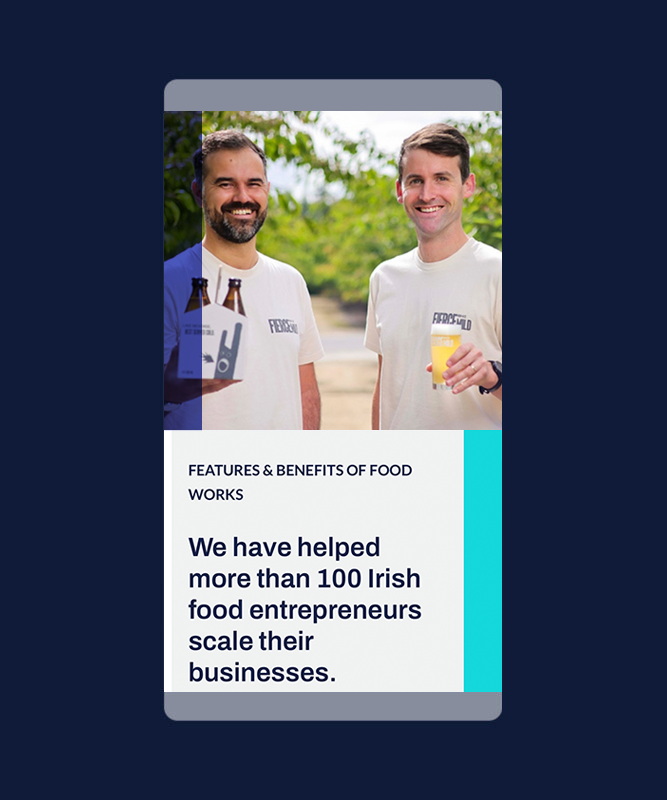 Foodworks Bord Bia mobile - Neworld Website Design & Development