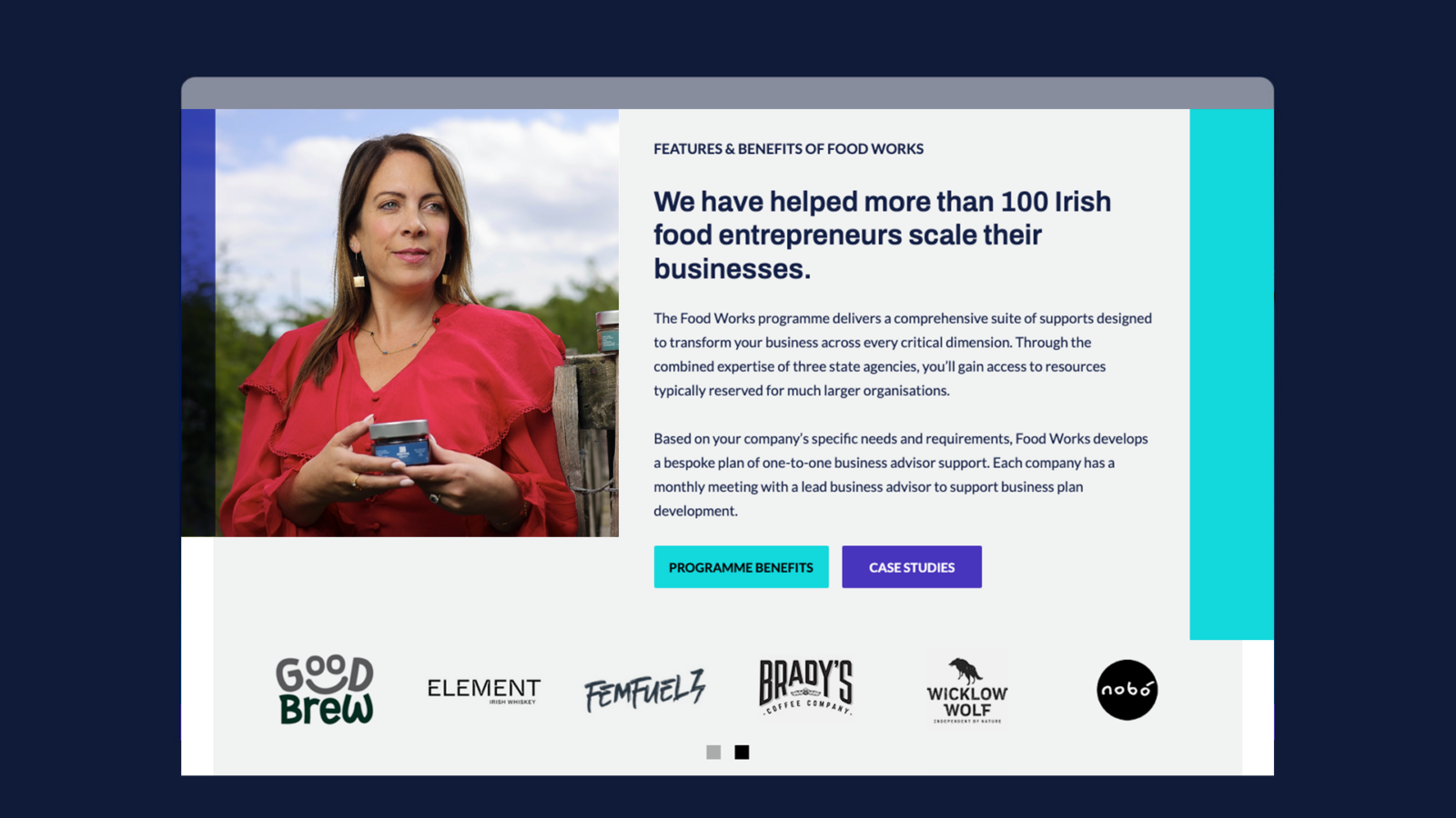 Foodworks Bord Bia mobile - Neworld Website Design & Development
