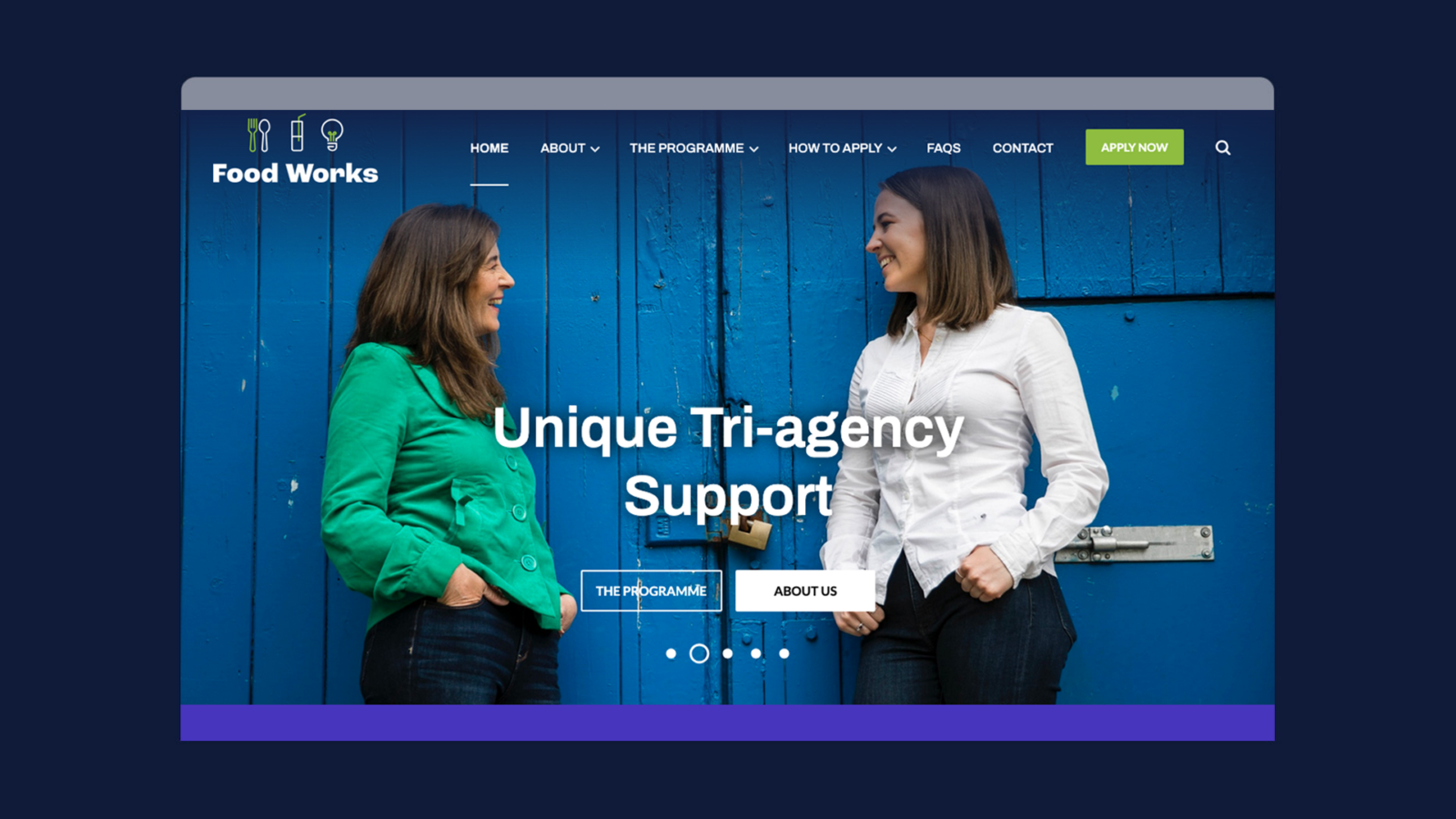 Foodworks Bord Bia - - Neworld Website Design & Development